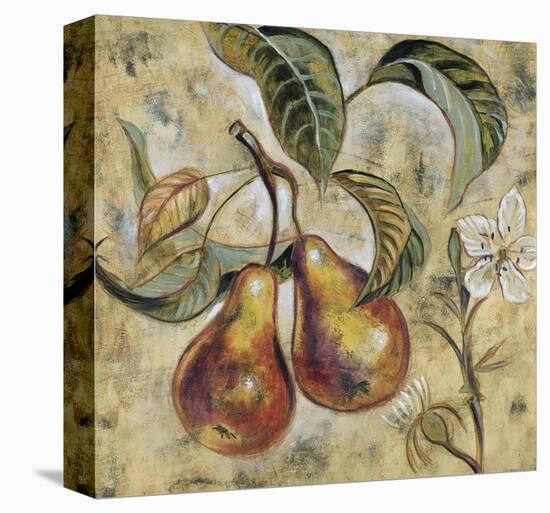 Vintage Blossoms I-Giovanni-Stretched Canvas