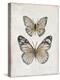 Vintage Butterflies I-Janet Tava-Stretched Canvas