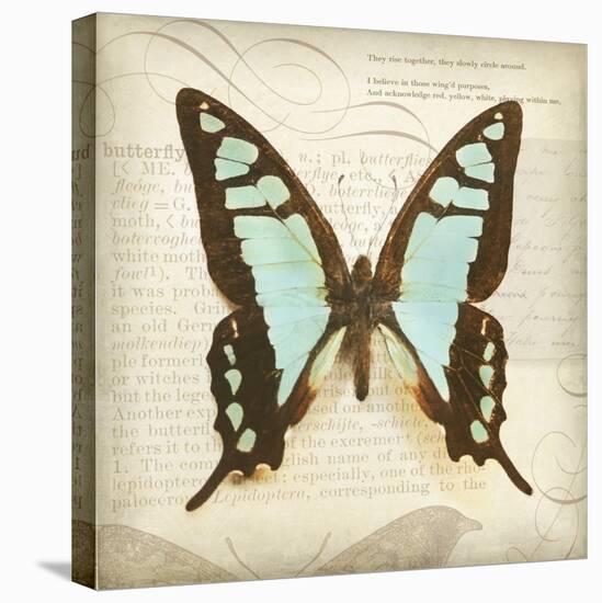 Vintage Butterfly I-Amy Melious-Stretched Canvas