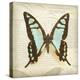 Vintage Butterfly I-Amy Melious-Stretched Canvas