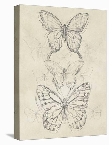 Vintage Butterfly Sketch II-June Erica Vess-Stretched Canvas