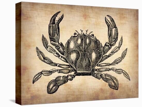 Vintage Crab-NaxArt-Stretched Canvas