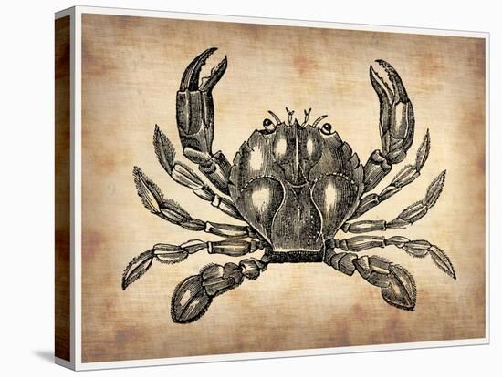 Vintage Crab-NaxArt-Stretched Canvas