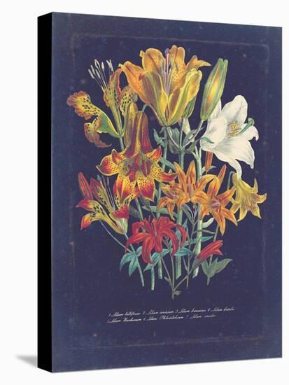 Vintage Dark Floral on Indigo I-null-Stretched Canvas