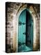 Vintage Door-Sheldon Lewis-Premier Image Canvas