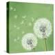 Vintage Floral Background With Dandelion-silvionka-Stretched Canvas