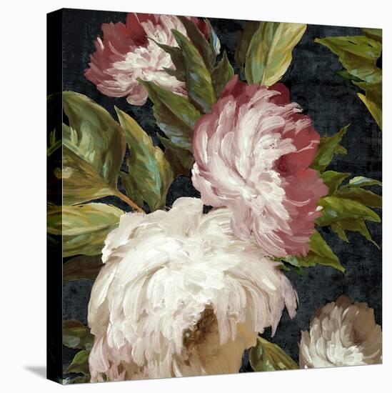 Vintage Floral Delight II-Alex Black-Stretched Canvas