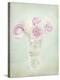 Vintage Flowers I-Shana Rae-Stretched Canvas