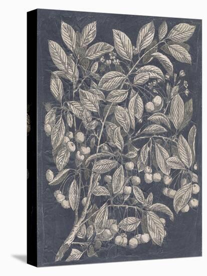 Vintage Fruit and Floral III-Megan Meagher-Stretched Canvas