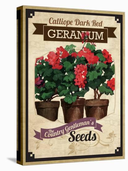 Vintage Geranium Seed Packet-null-Premier Image Canvas