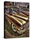 Vintage Glow-Stephen Arens-Premier Image Canvas