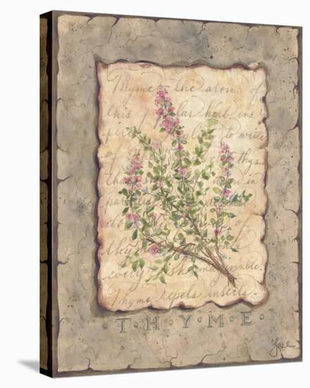 Vintage Herbs, Thyme-Constance Lael-Stretched Canvas