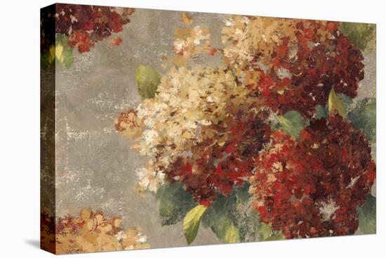 Vintage Hydrangea-Anna Polanski-Stretched Canvas