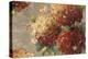 Vintage Hydrangea-Anna Polanski-Stretched Canvas