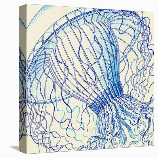 Vintage Jellyfish II-Sparx Studio-Stretched Canvas
