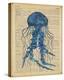 Vintage Jellyfish-Sparx Studio-Stretched Canvas