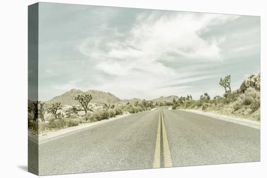 Vintage Joshua Trees, Park Boulevard-Melanie Viola-Premier Image Canvas