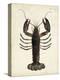 Vintage Lobster-DeKay-Stretched Canvas