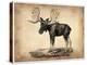 Vintage Moose-NaxArt-Stretched Canvas