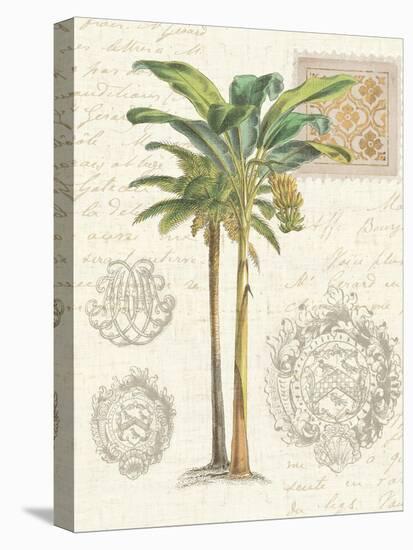 Vintage Palm Study I-Hugo Wild-Stretched Canvas