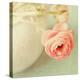 Vintage Peony I-Sarah Gardner-Premier Image Canvas