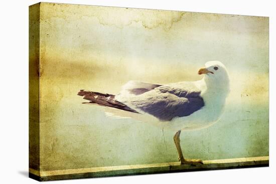 Vintage Photo Of A Seagull-Artistic Retro Styled Picture-melis-Premier Image Canvas