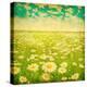 Vintage Photo of Daisy Field and Cloudy Sky-Elenamiv-Stretched Canvas