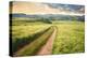Vintage Picture of the Road in a Barley Field. Among Mountains-Ralko Vadim-Premier Image Canvas