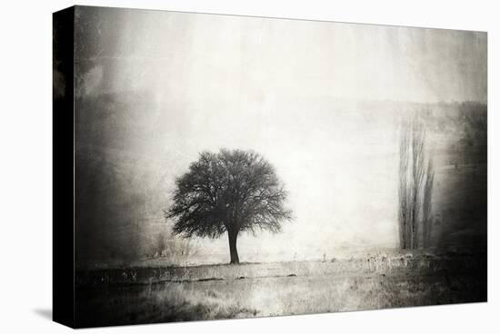 Vintage Picture with lone Tree-null-Stretched Canvas