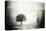 Vintage Picture with lone Tree-null-Stretched Canvas