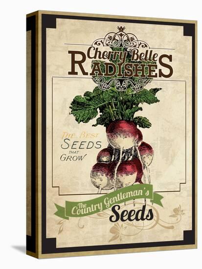 Vintage Radish Seed Packet-null-Premier Image Canvas