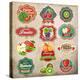 Vintage Retro Grunge Fresh Fruit Labels, Badges and Icons-Catherinecml-Stretched Canvas