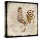 Vintage Rooster Square 2-Kimberly Allen-Stretched Canvas