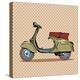 Vintage Scooter Retro Transport-Valeriy Kachaev-Stretched Canvas