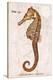 Vintage Seahorse, Hippocampus Hilonis, Sea Horse-Christine Zalewski-Stretched Canvas