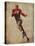 Vintage Sports IV-John Butler-Stretched Canvas