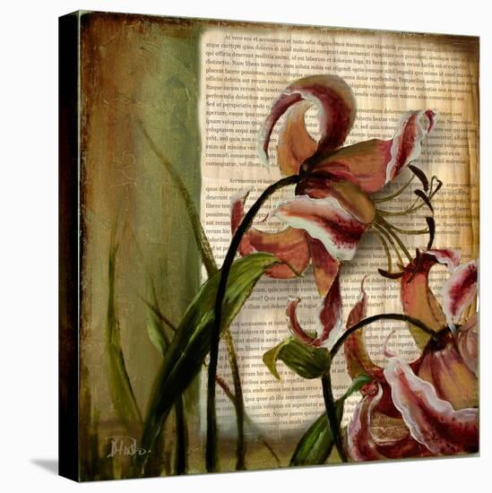 Vintage Studio II-Patricia Pinto-Stretched Canvas