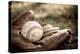 Vintage Style Baseball Glove and Ball-soupstock-Premier Image Canvas