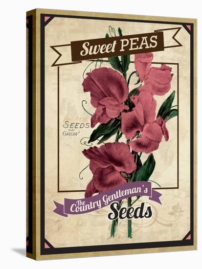 Vintage Sweet Peas Packet-null-Premier Image Canvas