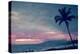 Vintage Take on a Tropical Sunset on Maui in Hawaii-pdb1-Premier Image Canvas