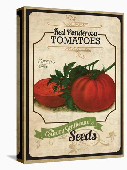 Vintage Tomato Seed Packet-null-Premier Image Canvas