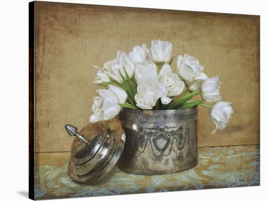 Vintage Tulips II-Cristin Atria-Stretched Canvas