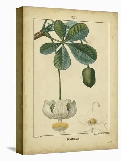 Vintage Turpin Botanical II-Turpin-Stretched Canvas