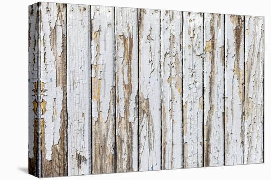 Vintage White Background of Natural Wood Old Wall-H2Oshka-Premier Image Canvas