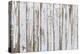 Vintage White Background of Natural Wood Old Wall-H2Oshka-Premier Image Canvas