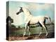 Vintage White Horse Chromolithograph "Mambrino," from the Picture by George Stubbs 1817-Piddix-Stretched Canvas