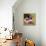 Vintage Wine II-Jennifer Brinley-Stretched Canvas displayed on a wall