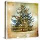 Vintage Winter Background With Pine Tree-Maugli-l-Stretched Canvas
