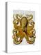 Vintage Yellow Octopus Front-Fab Funky-Stretched Canvas