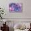 Violet Orchid Morpheus-Alixandra Mullins-Stretched Canvas displayed on a wall